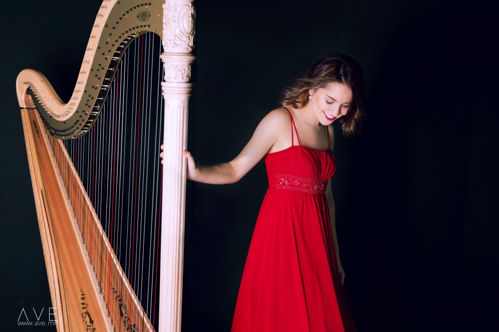 Зэвсэг ба зэмсэг